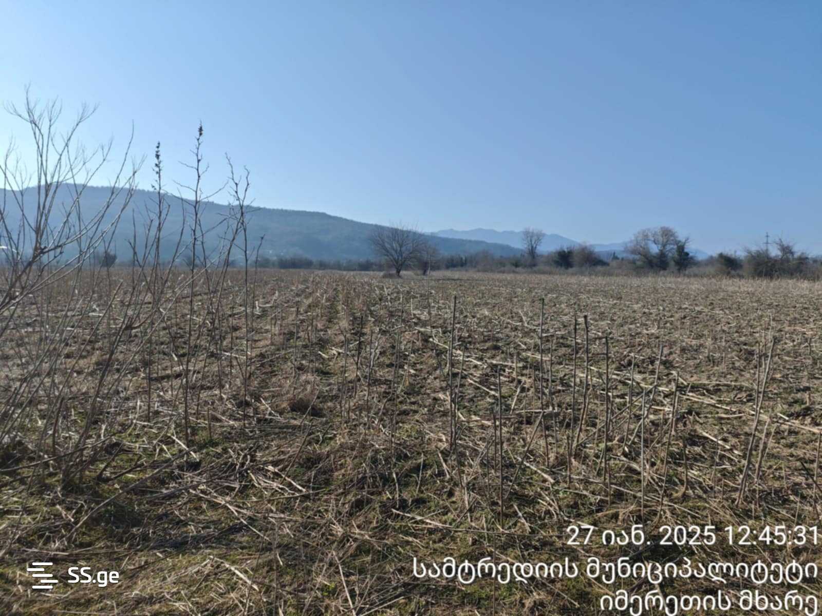 For Sale Sasoplo-Sameurneo Land Plot Samtrediashi view 10