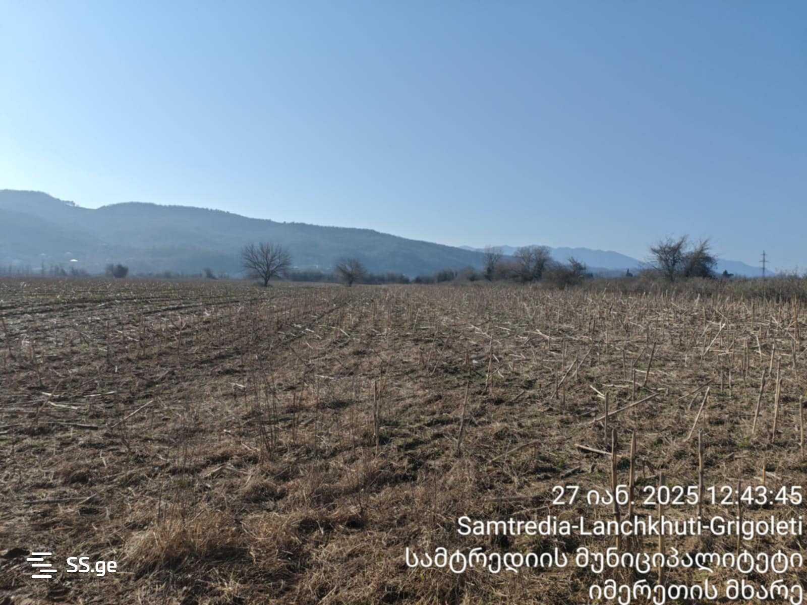 For Sale Sasoplo-Sameurneo Land Plot Samtrediashi view 7