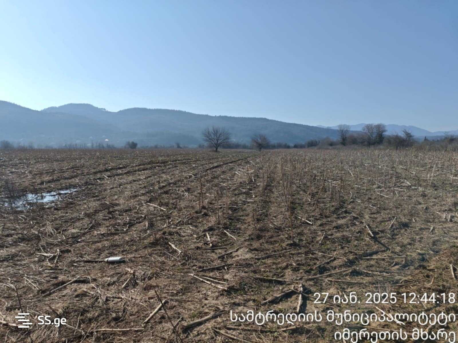 For Sale Sasoplo-Sameurneo Land Plot Samtrediashi view 9