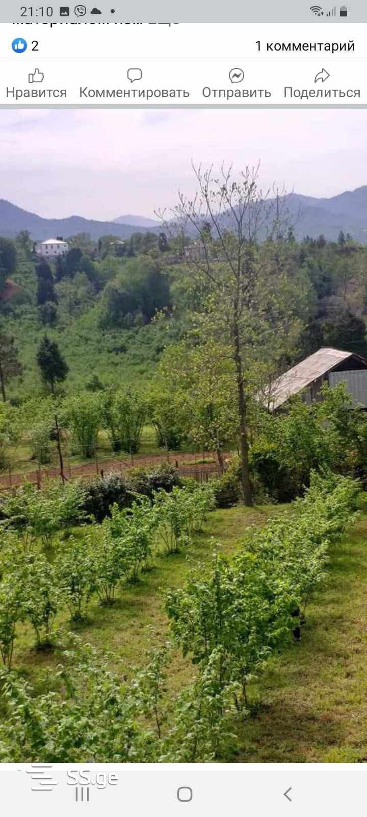 იყიდება 8-ოთახი კერძო სახლი view 6