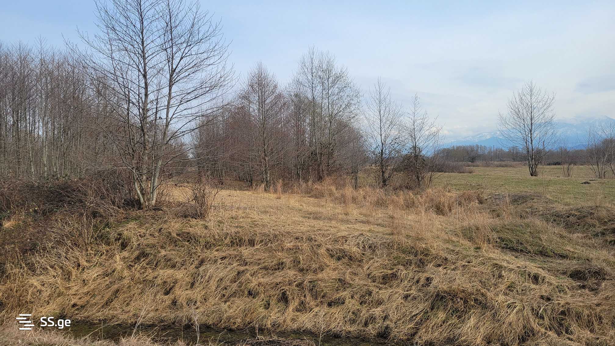 Продажа Земля / участок в Ozurgetshi view 12