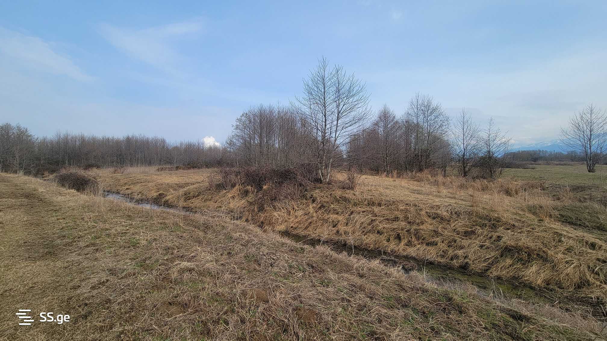 Продажа Земля / участок в Ozurgetshi view 10