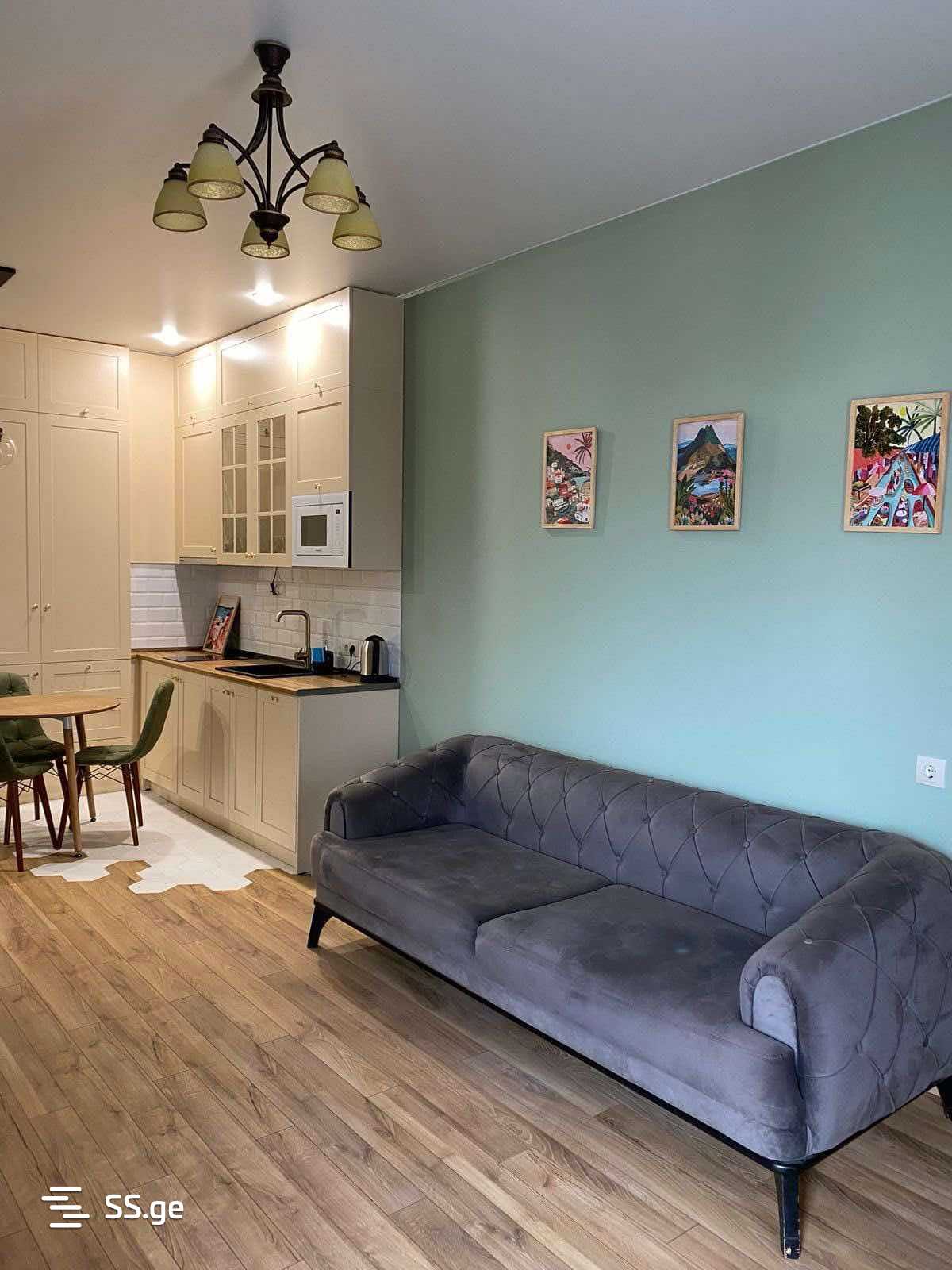 2 Room Flat Daily Rent. Avlabari view 6