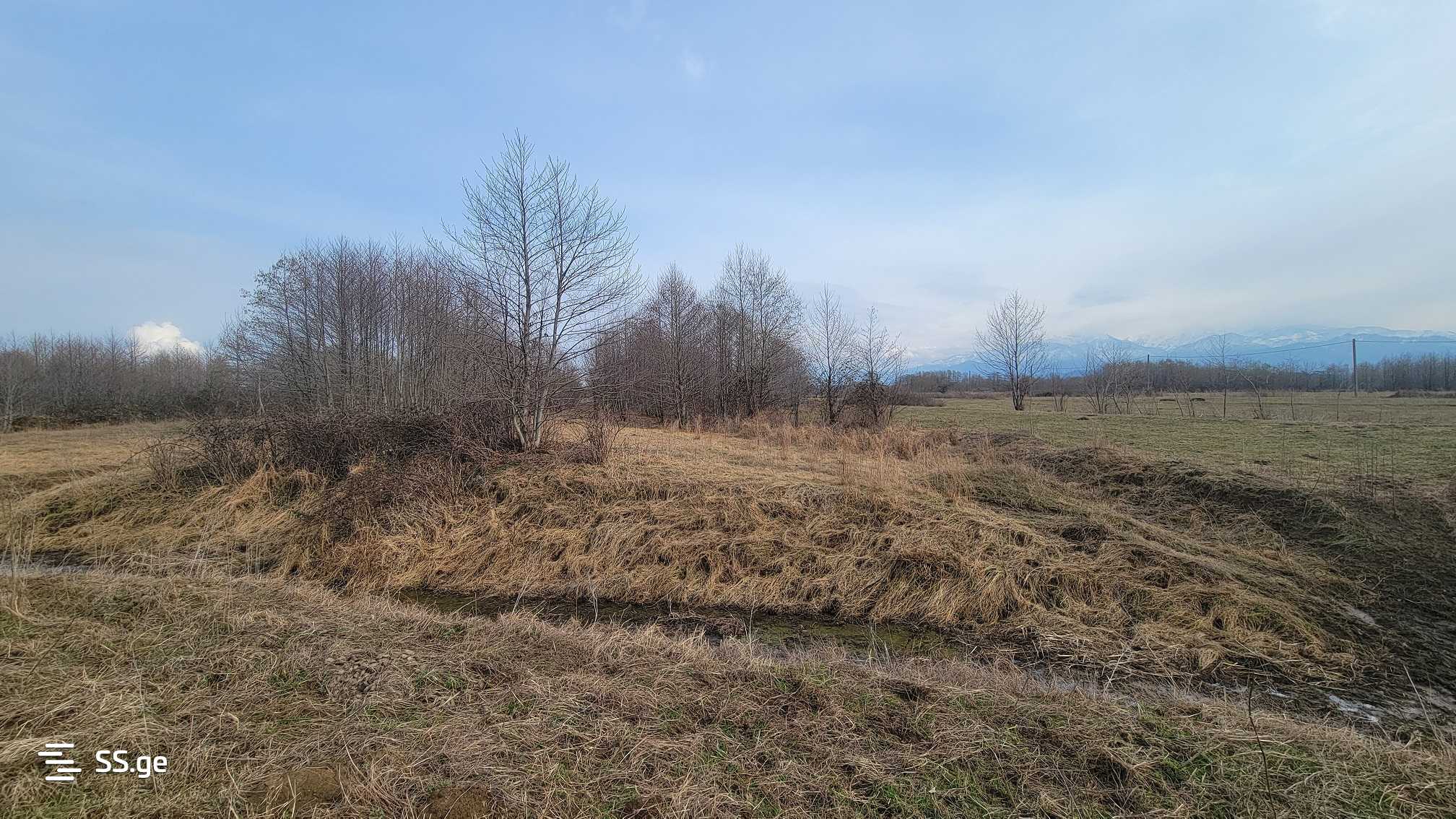 Продажа Земля / участок в Ozurgetshi view 9