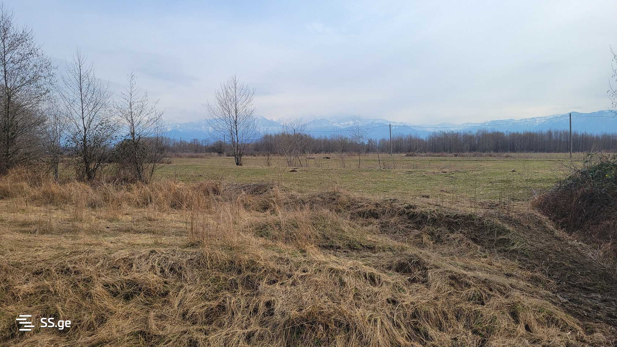 Продажа Земля / участок в Ozurgetshi view 11