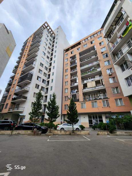 https://static.ss.ge/20250204/8_ccc001d9-48fc-4a04-a087-4bc9911978c4_Thumb.jpg