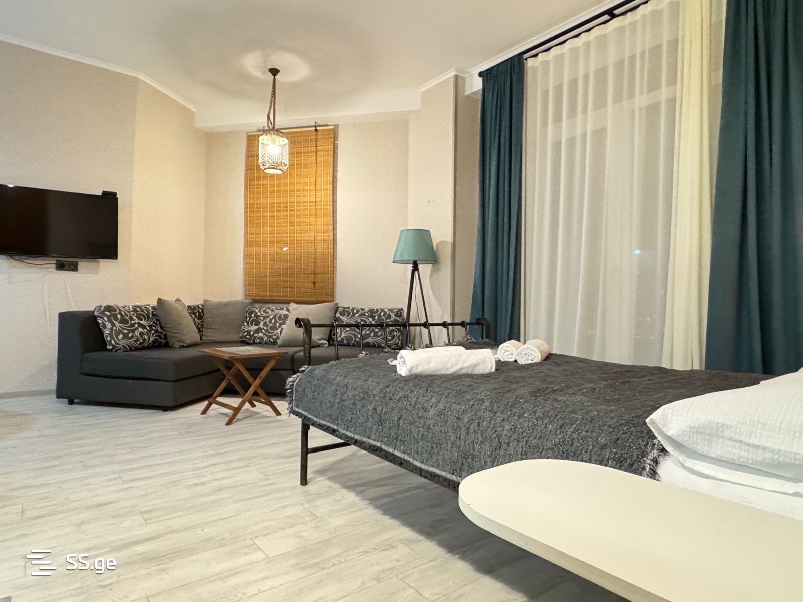 1 room Flat Daily rent. Didube – pohled 4