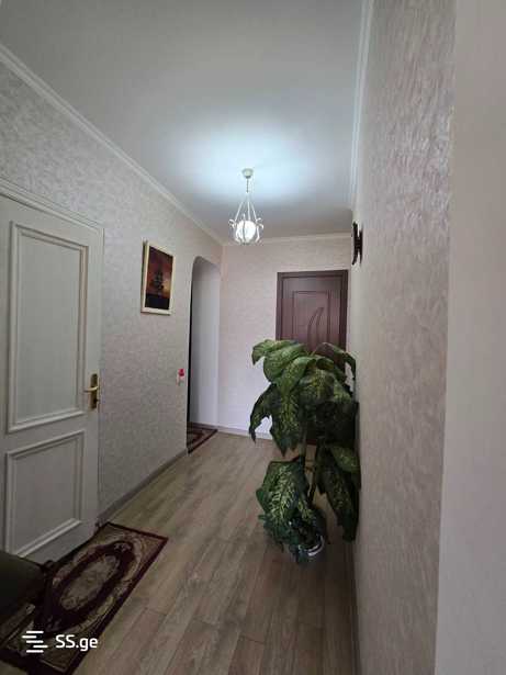 https://static.ss.ge/20250205/18_9c78aa9f-7b34-4164-b5e4-fe9fa0c6308b_Thumb.jpg