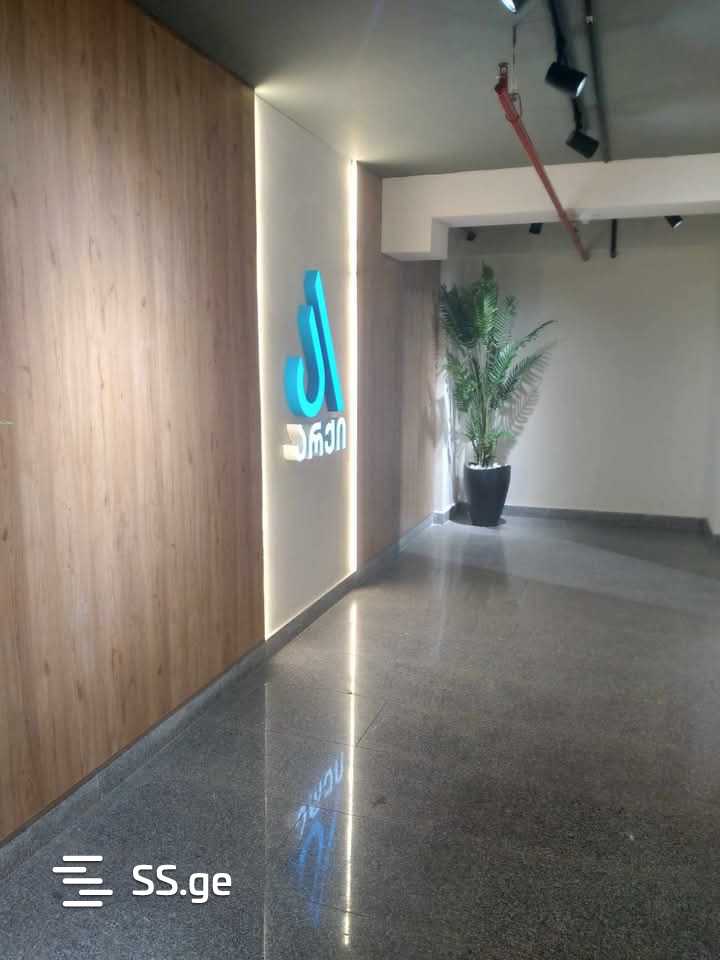 2 Room Flat For Rent. Didi Digomi, 1 of 9
