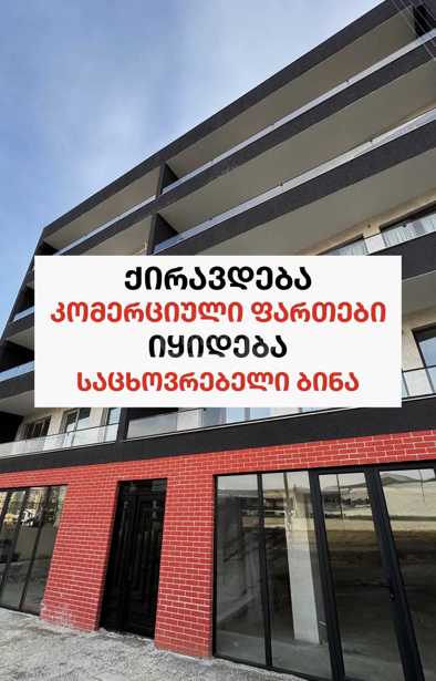 https://static.ss.ge/20250205/9_155ae845-d96c-43ce-abeb-415bd4e19a39_Thumb.jpg