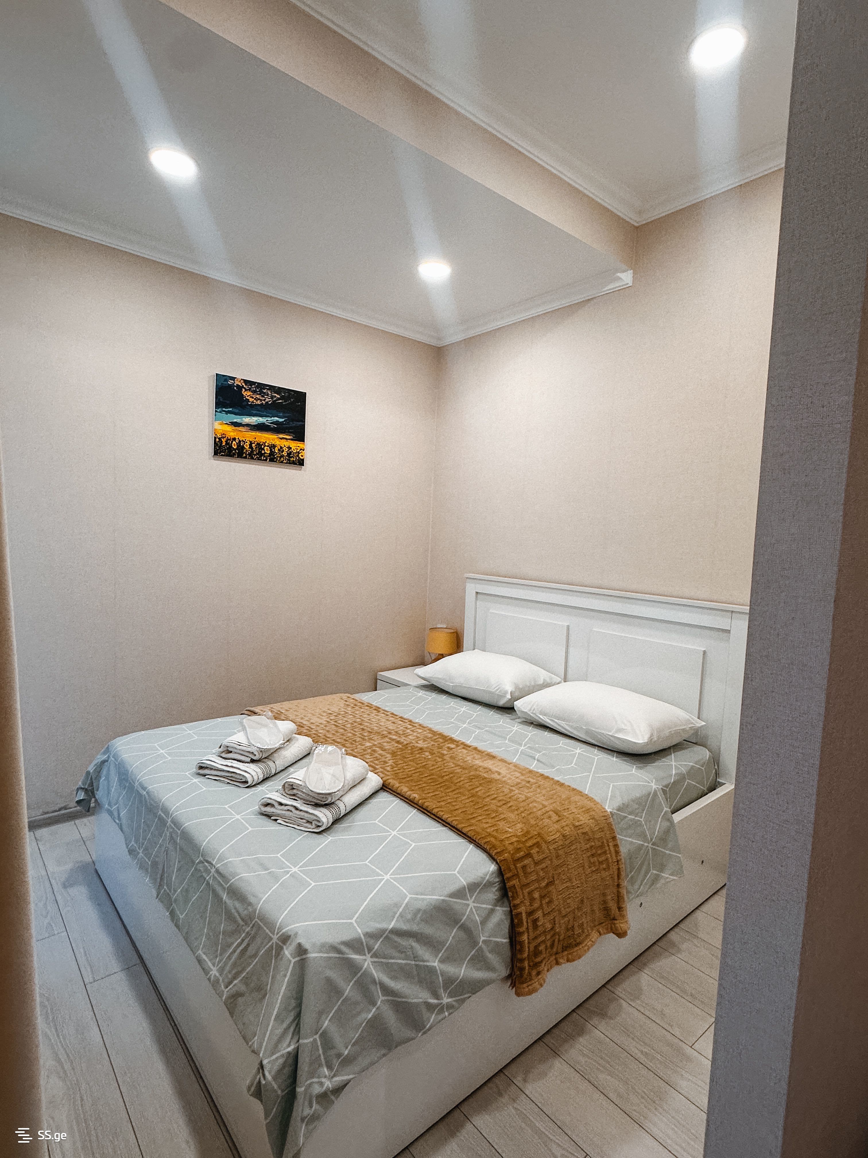 1 Room Flat Daily Rent. Kutaisi view 1