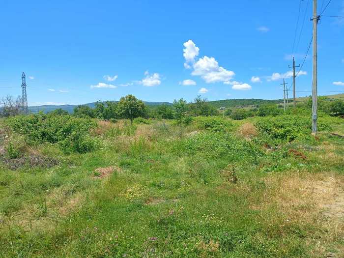 Land For Sale. Sagarejo