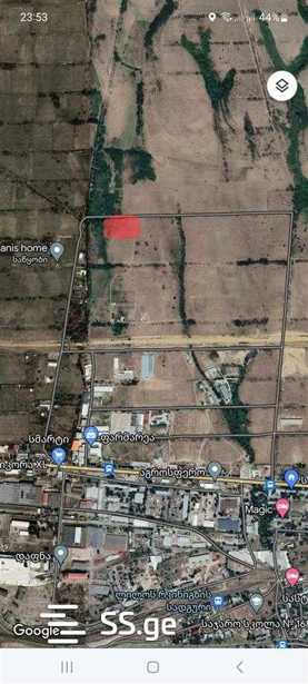 https://static.ss.ge/20250207/15_309c93af-84af-4954-81d3-2698284ea7e1_Thumb.jpg