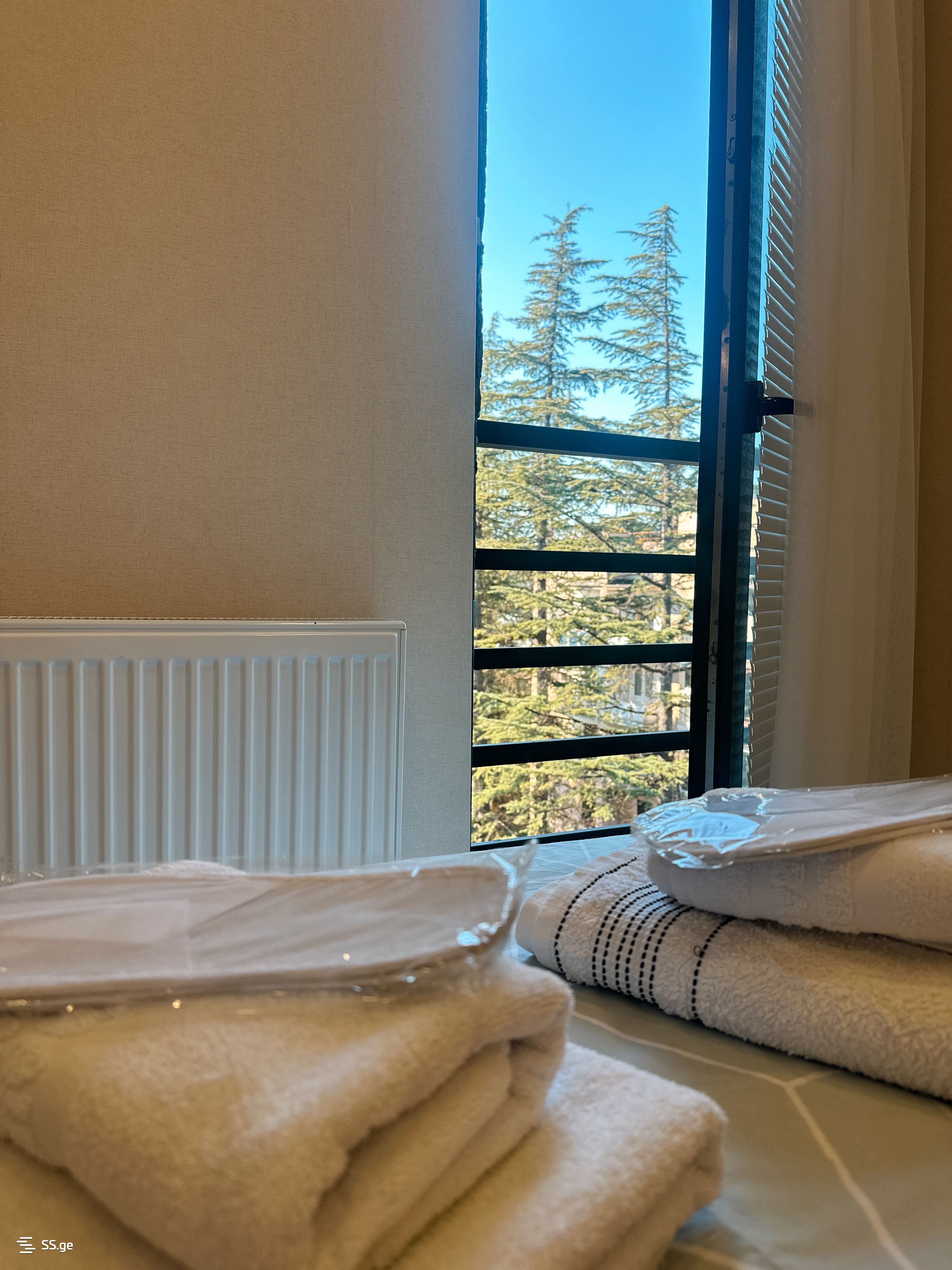 1 Room Flat Daily Rent. Kutaisi view 2