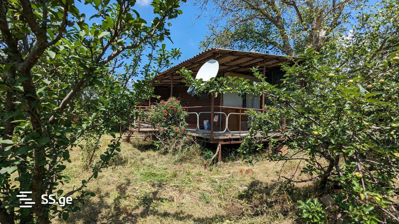 Summer Cottage For Sale. Akhalsopeli view 6