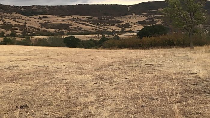 Land For Sale. Akhalsopeli