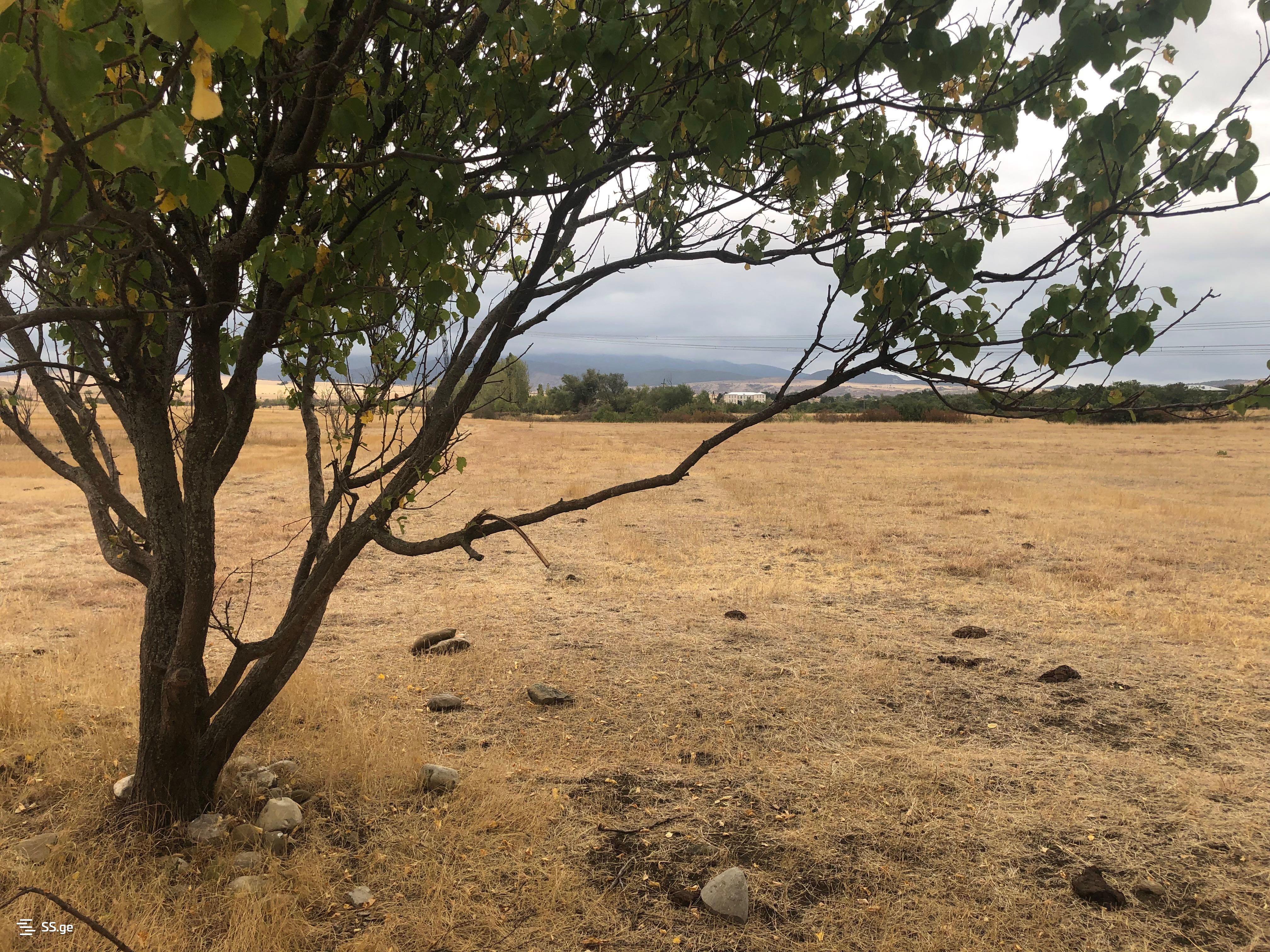 Land For Sale. Akhalsopeli view 4