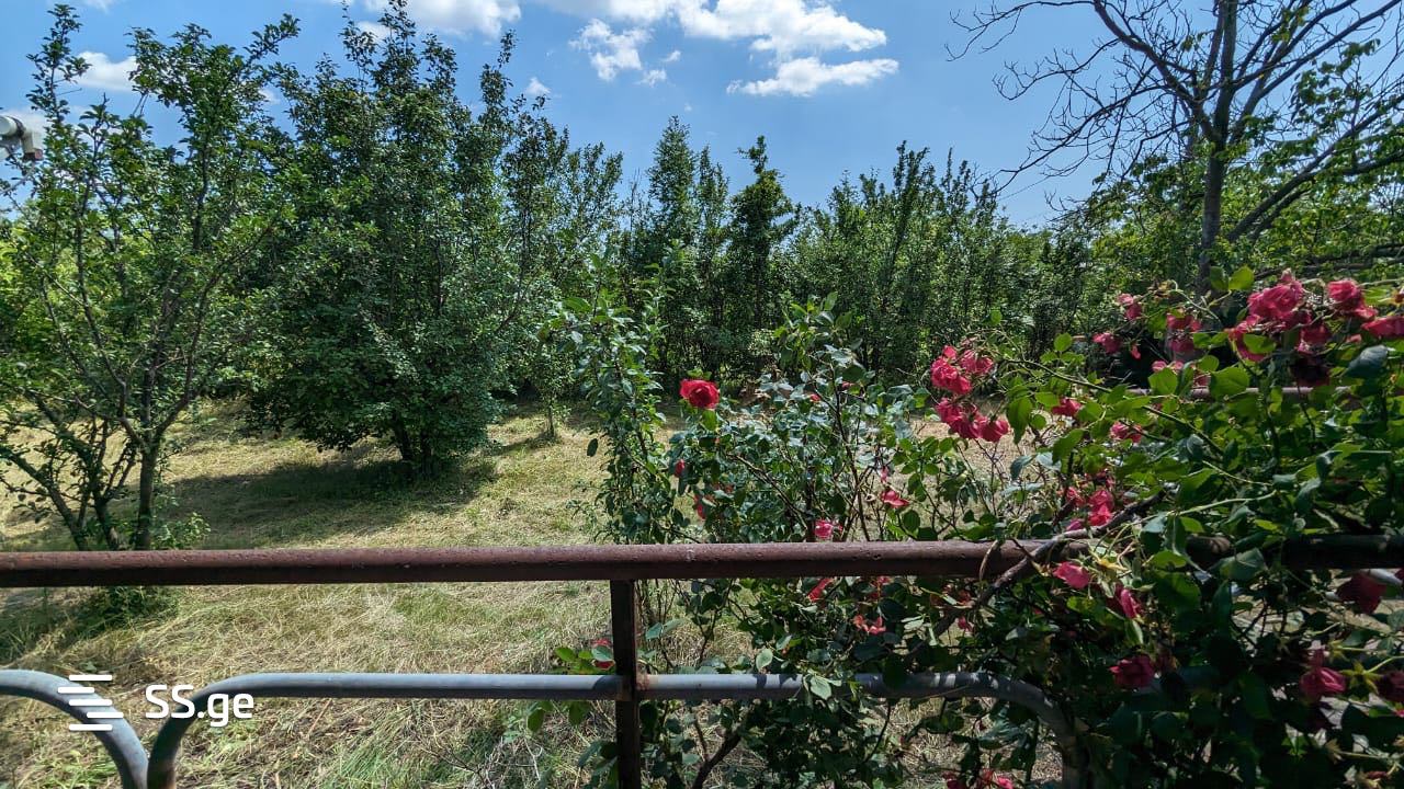Summer Cottage For Sale. Akhalsopeli view 1