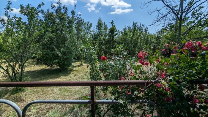 Summer Cottage For Sale. Akhalsopeli
