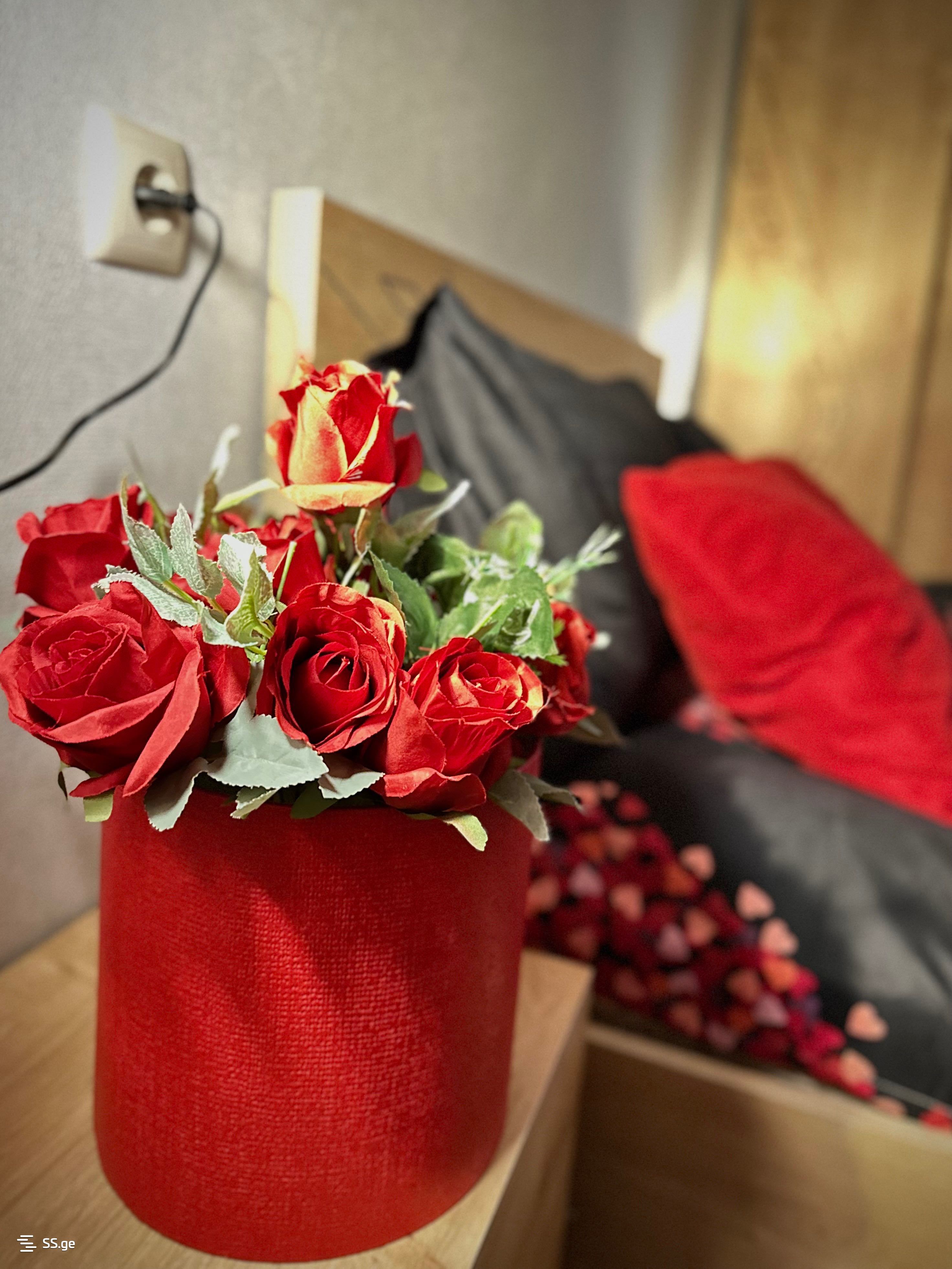 2 room Flat Daily rent. Didi digomi - Widok 2