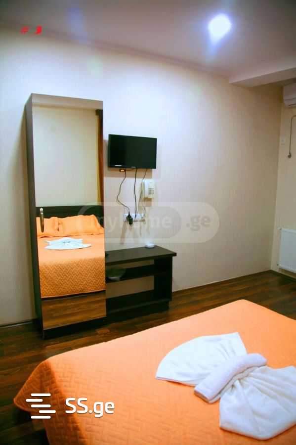 Hotel For Rent. Nadzaladevi view 10
