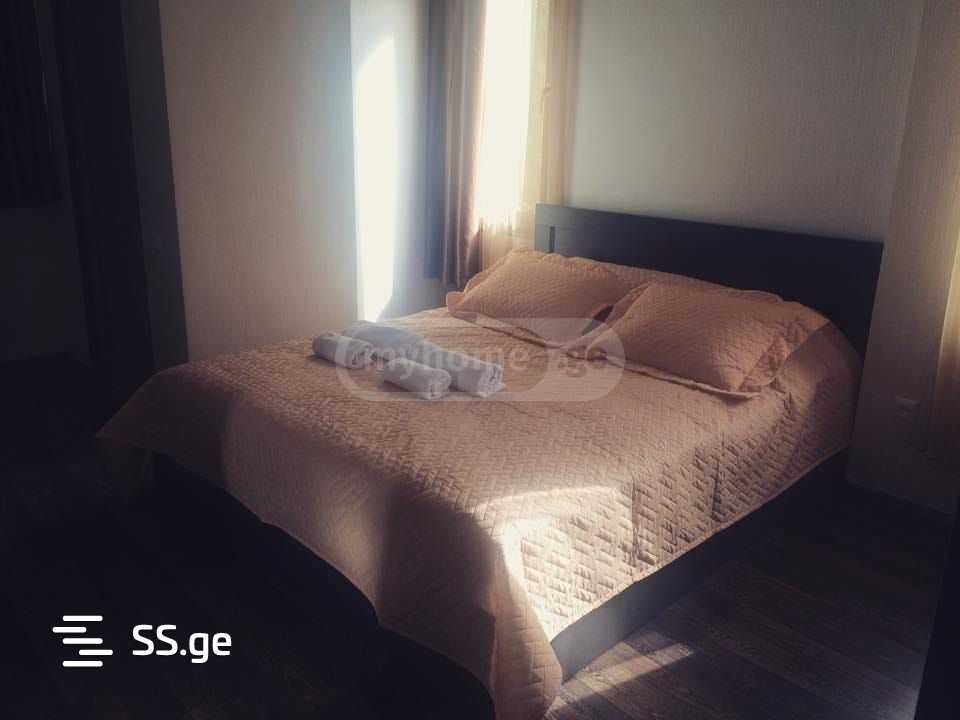 Hotel For Rent. Nadzaladevi view 4