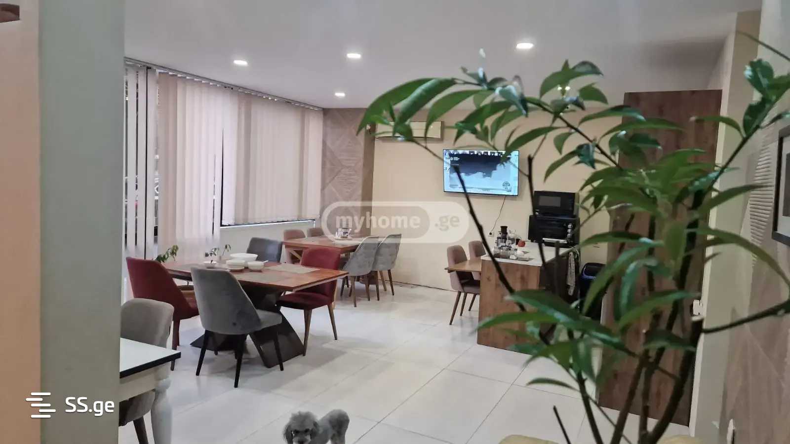 13 Room Hotel For Rent. Vera view 9