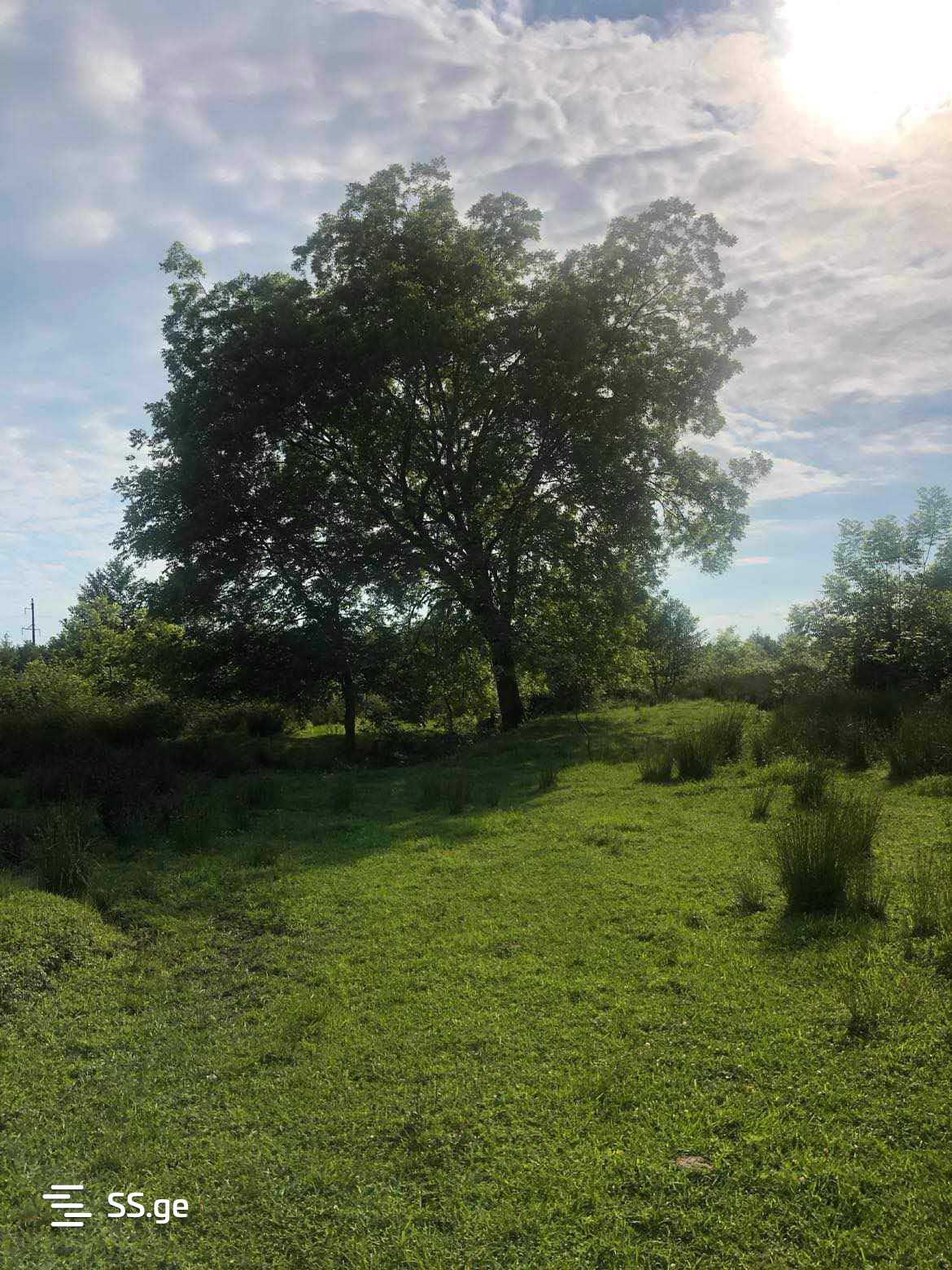 Land For Sale. Ureki view 5