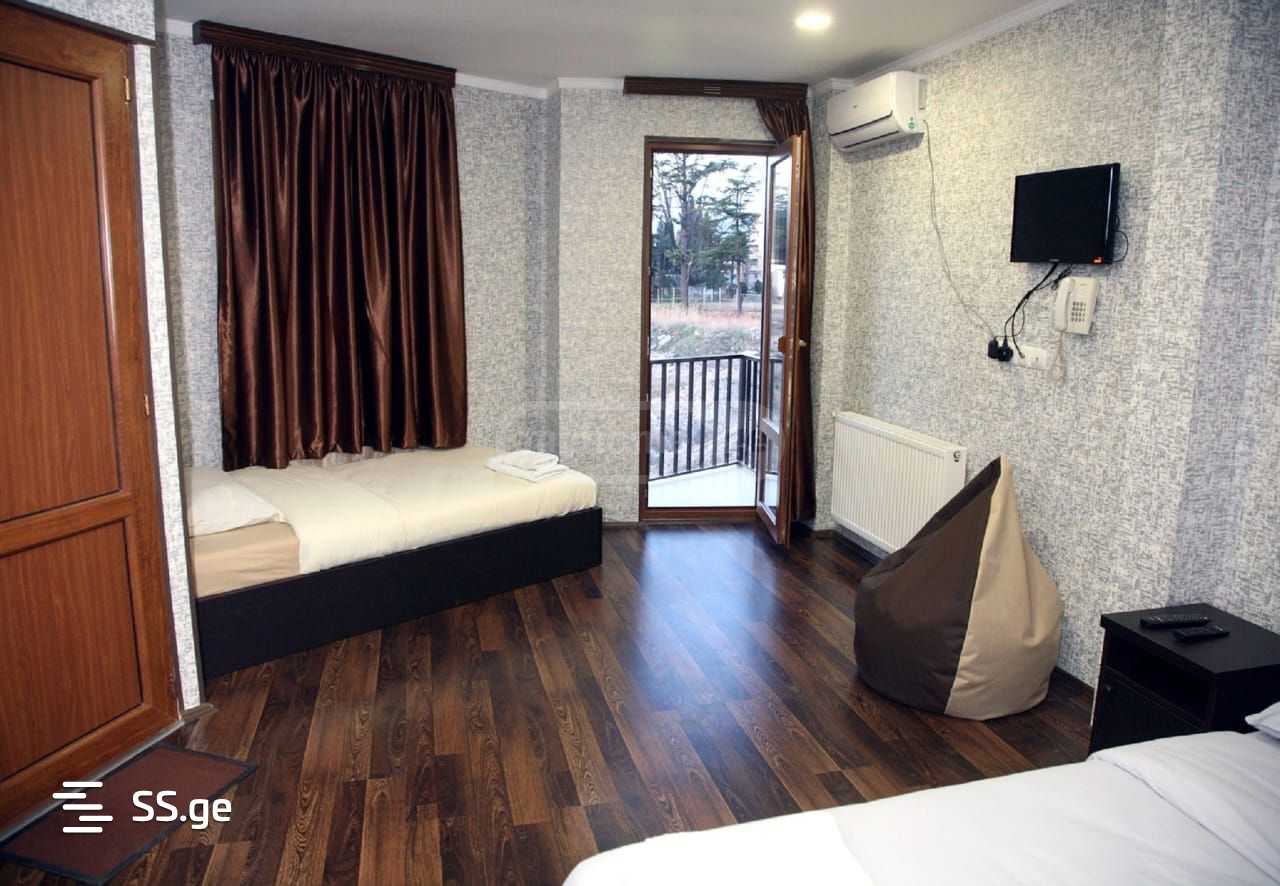 Hotel For Rent. Nadzaladevi view 8