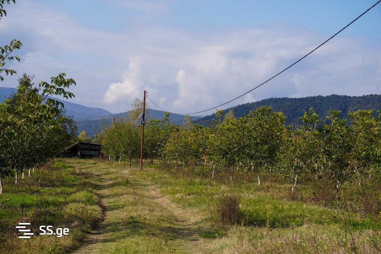 Продажа Земля в ахмета view 5