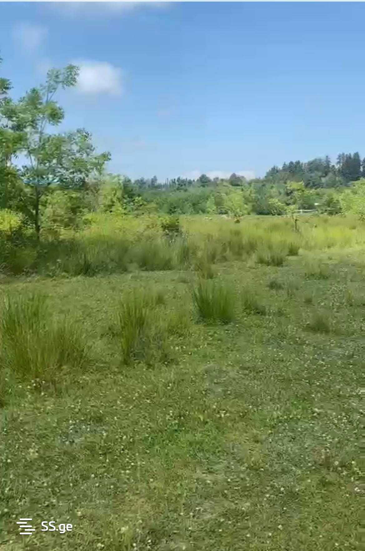 Land For Sale. Ureki view 6