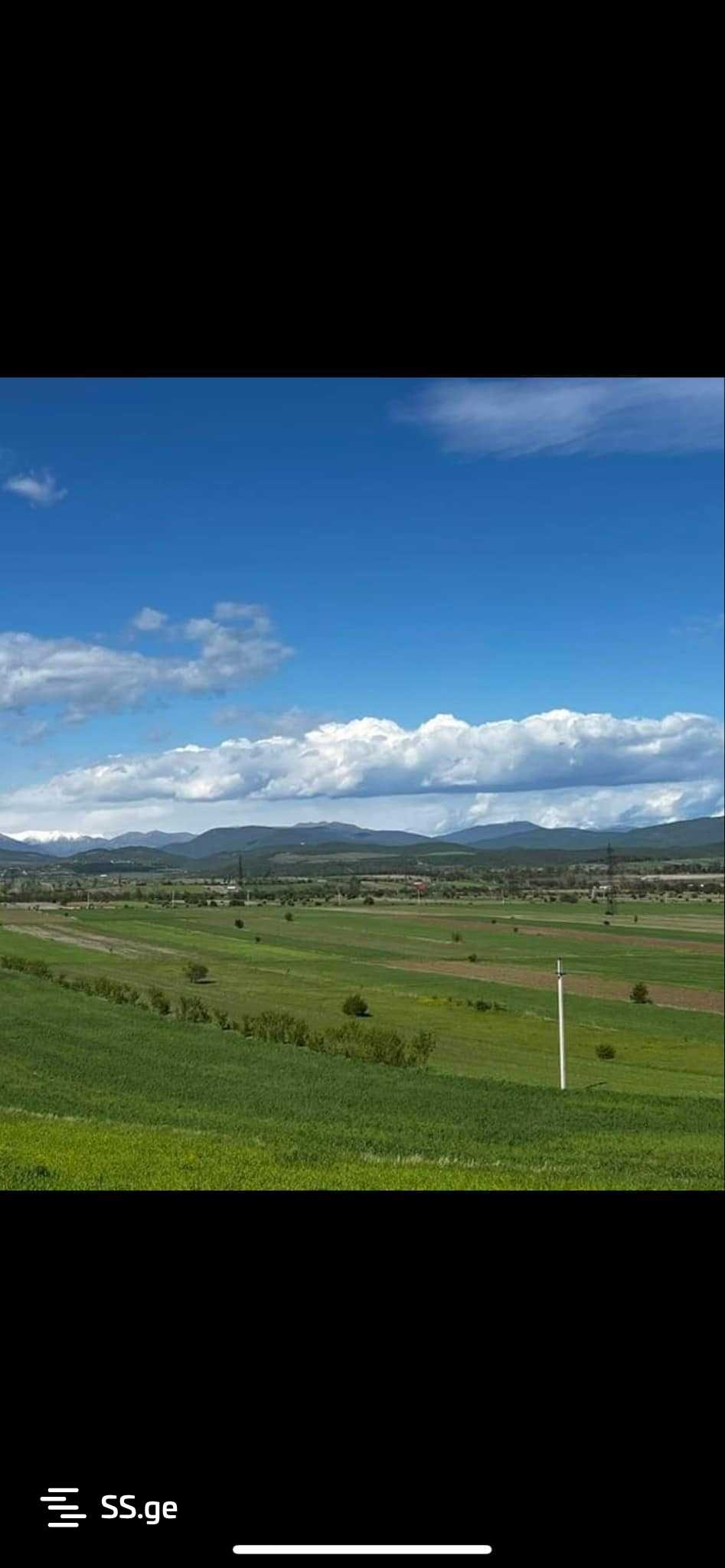 Land For Sale. Mukhrani view 1