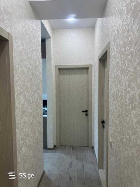 https://static.ss.ge/20250211/18_33b78ebb-0e87-4685-8569-a563e50ac4ff_Thumb.jpg