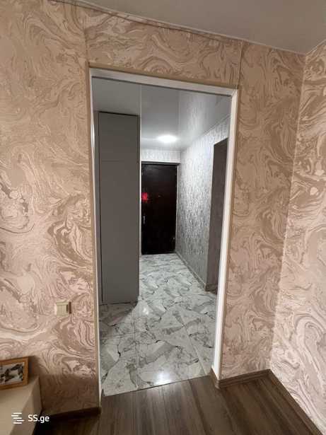 https://static.ss.ge/20250213/3_b52e3825-b148-44ca-8550-2cc9f7527e9a_Thumb.jpg