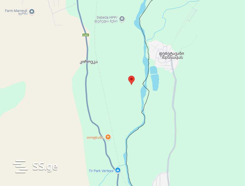 For Sale Sasoplo-Sameurneo Land Plot Marneulshi view 12