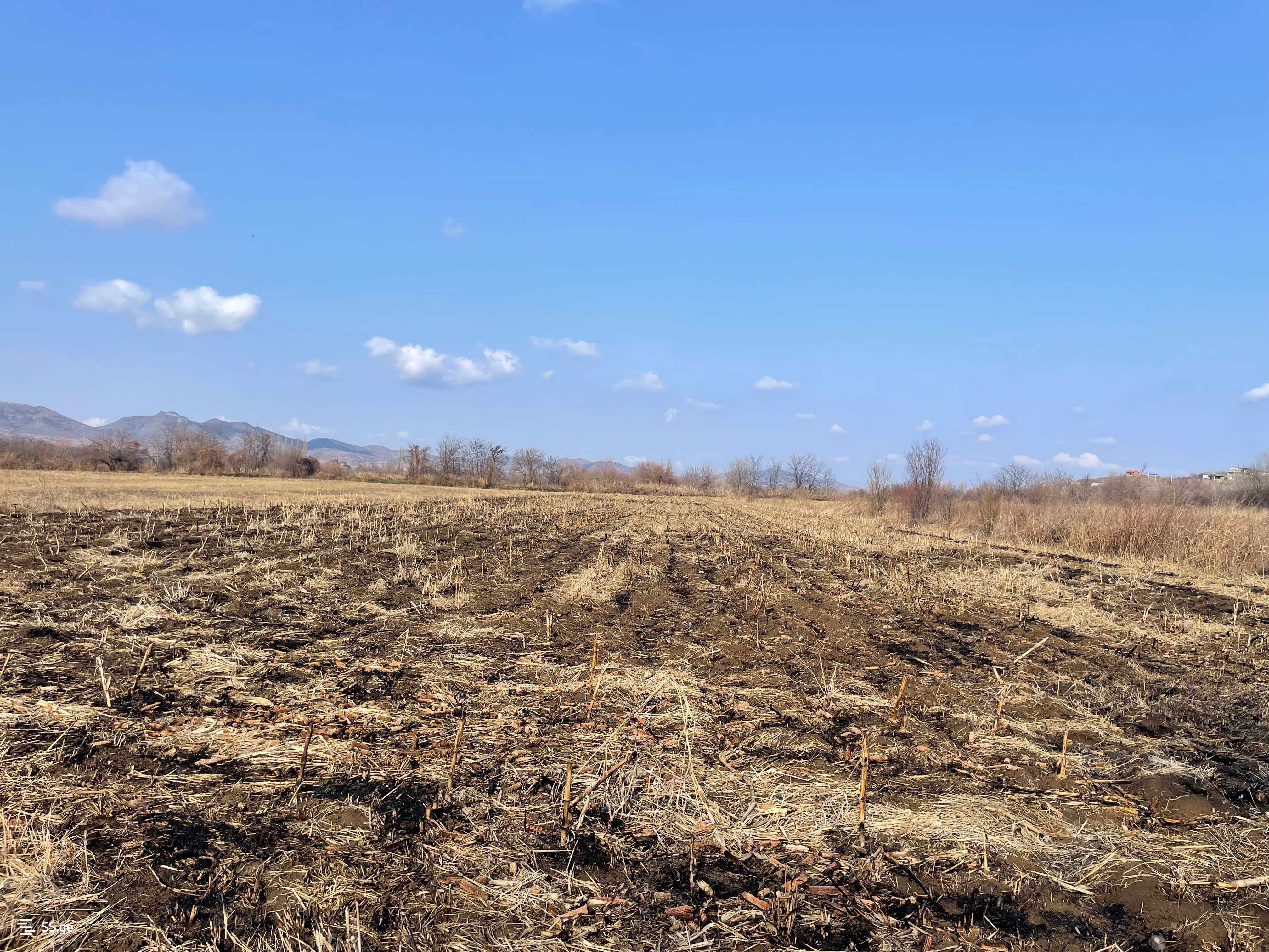 For Sale Sasoplo-Sameurneo Land Plot Marneulshi view 10