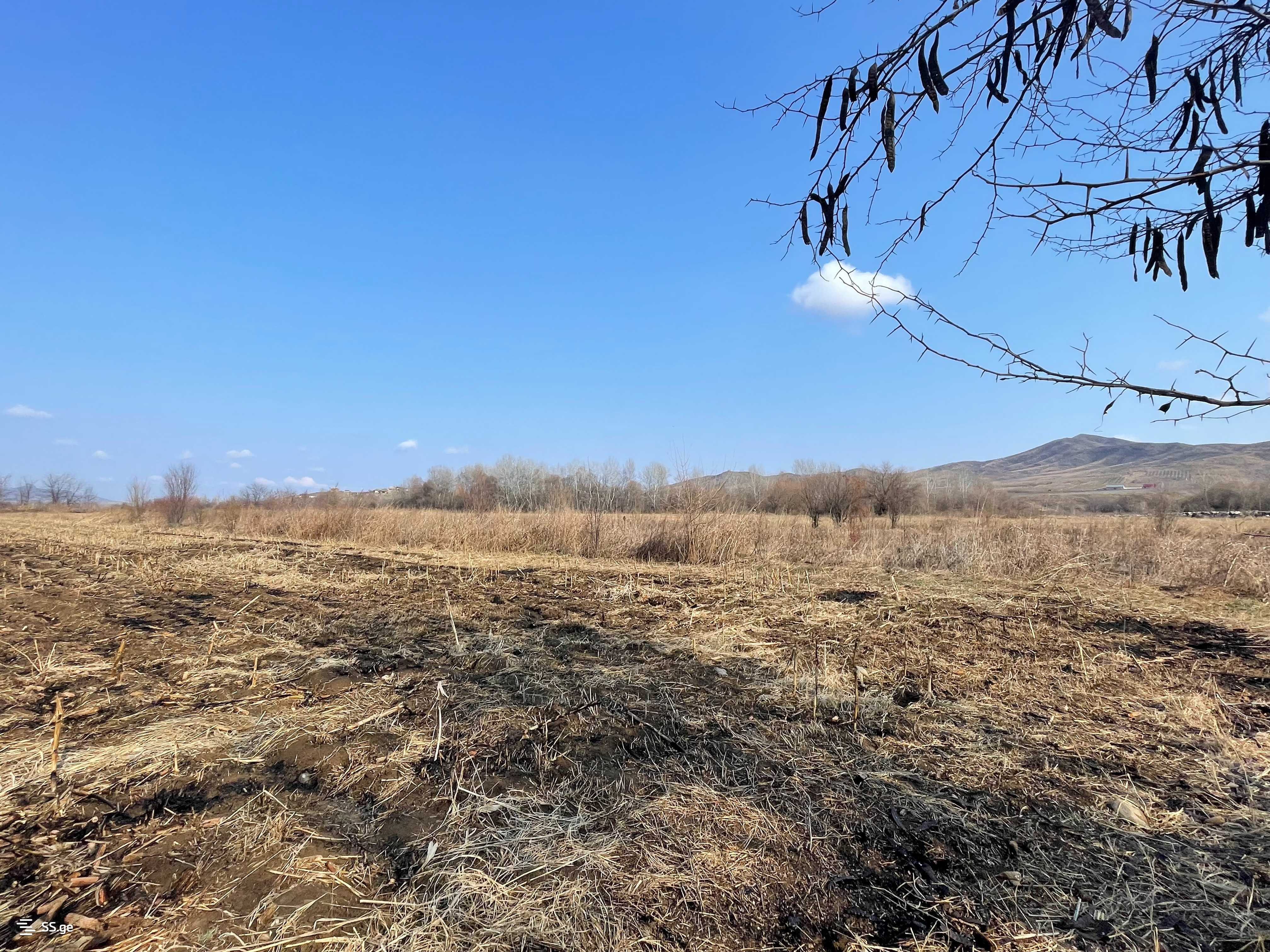 For Sale Sasoplo-Sameurneo Land Plot Marneulshi view 9