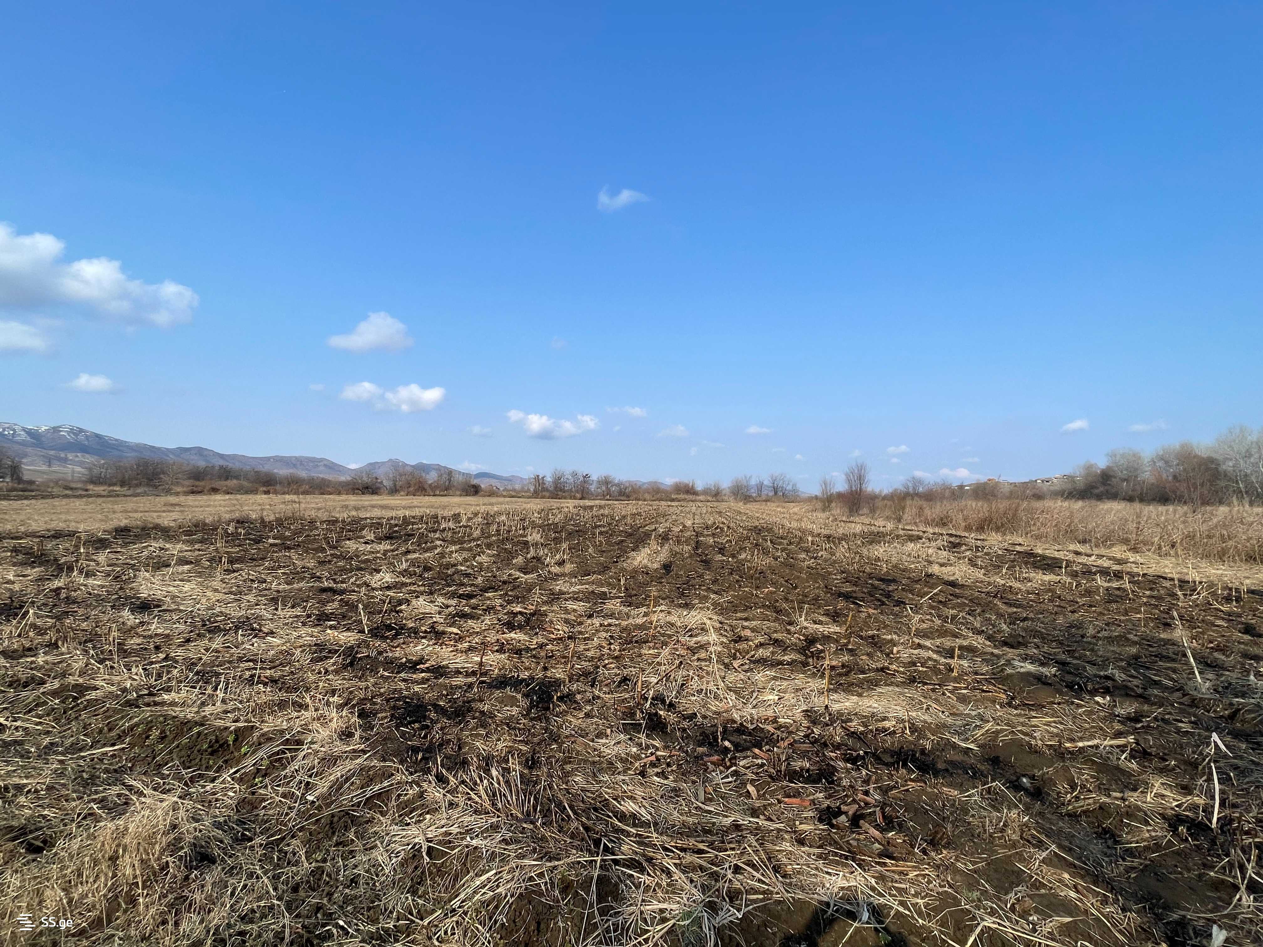 For Sale Sasoplo-Sameurneo Land Plot Marneulshi view 7
