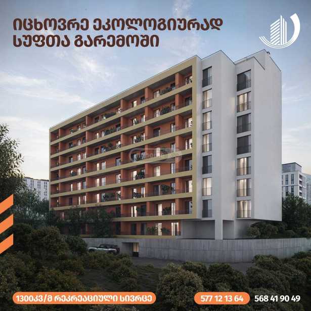 https://static.ss.ge/20250219/4_740859f9-a260-469c-9d7c-5eeb496fe41c_Thumb.jpg