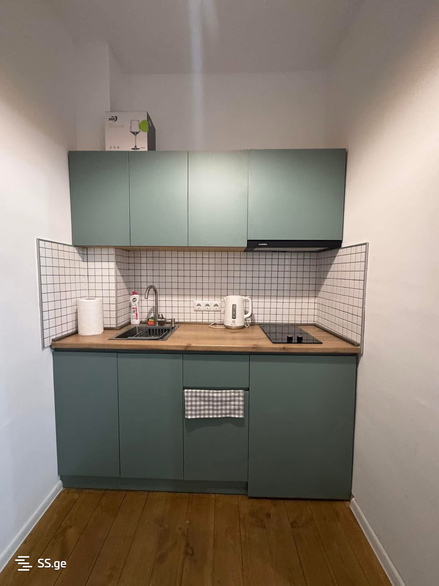 1 Room Flat Daily Rent. Bazaleti view 9