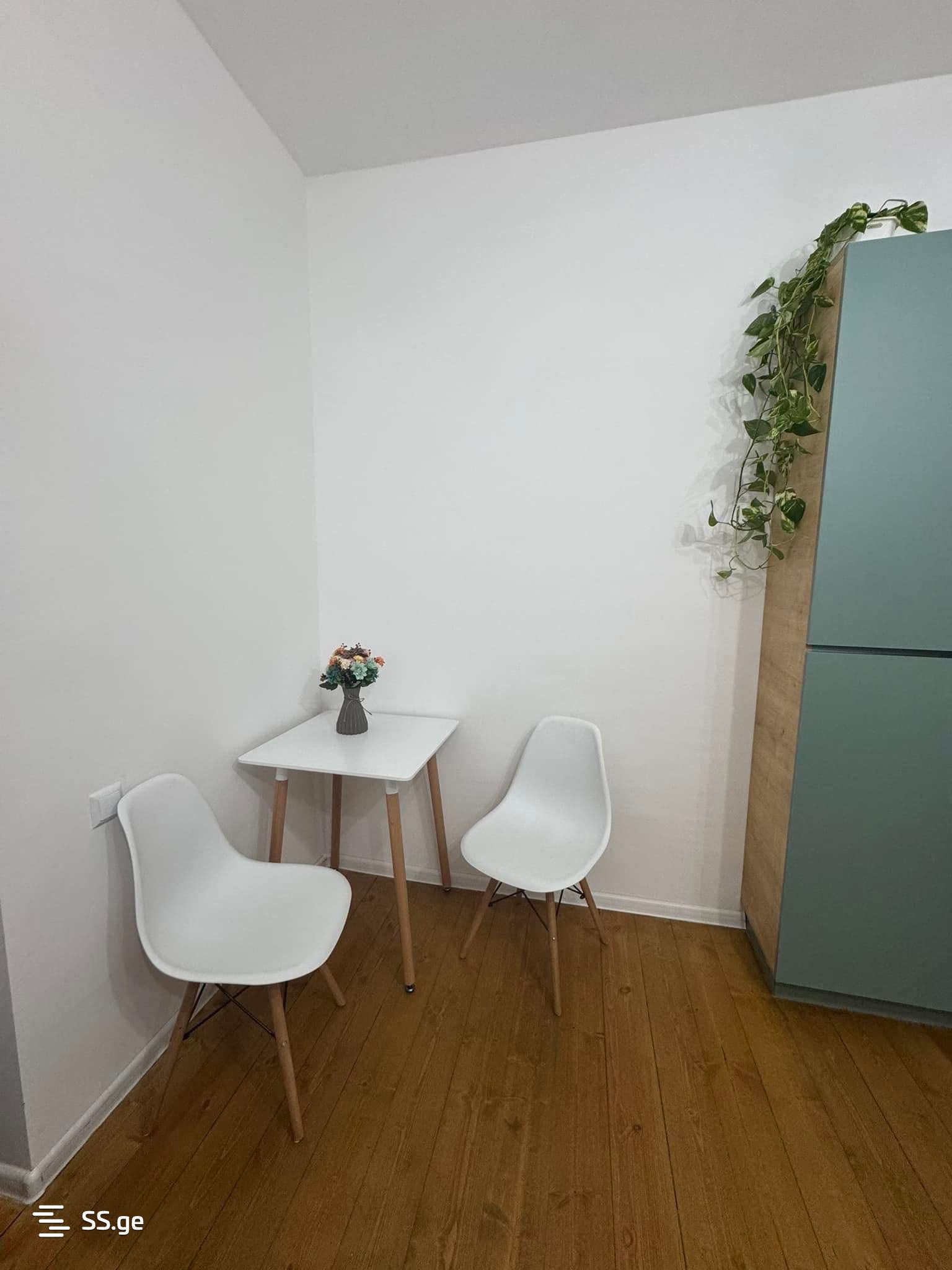 1 Room Flat Daily Rent. Bazaleti view 12