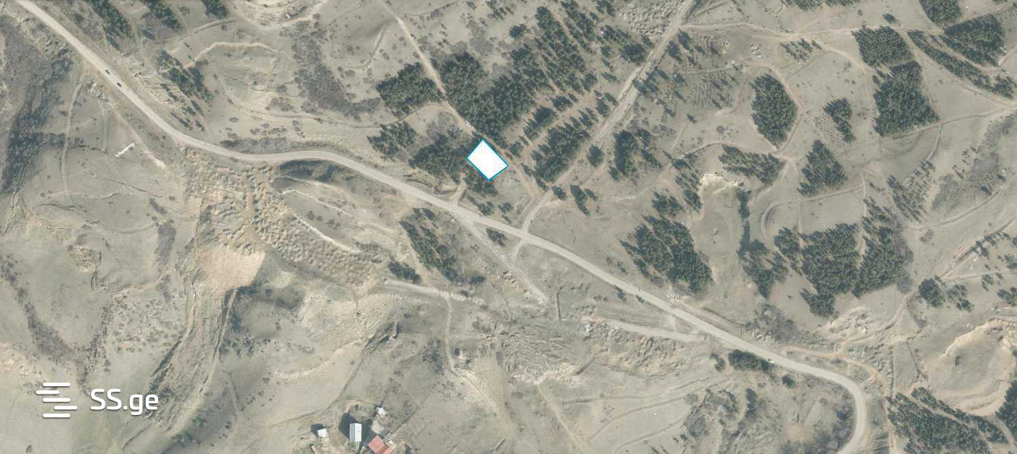 Land For Sale. Didi Digomi view 4