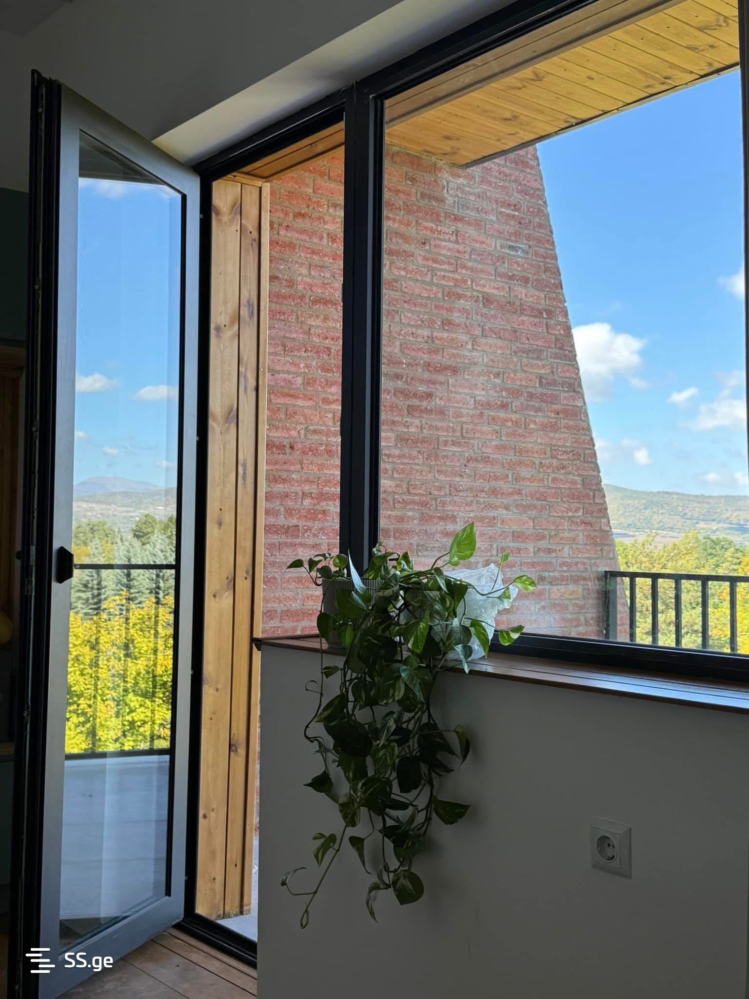 1 Room Flat Daily Rent. Bazaleti view 10
