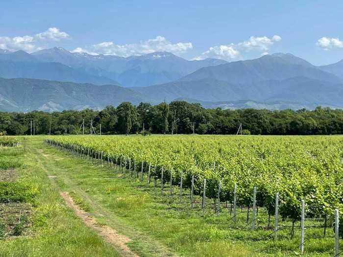 Land For Sale. Kisiskhevi