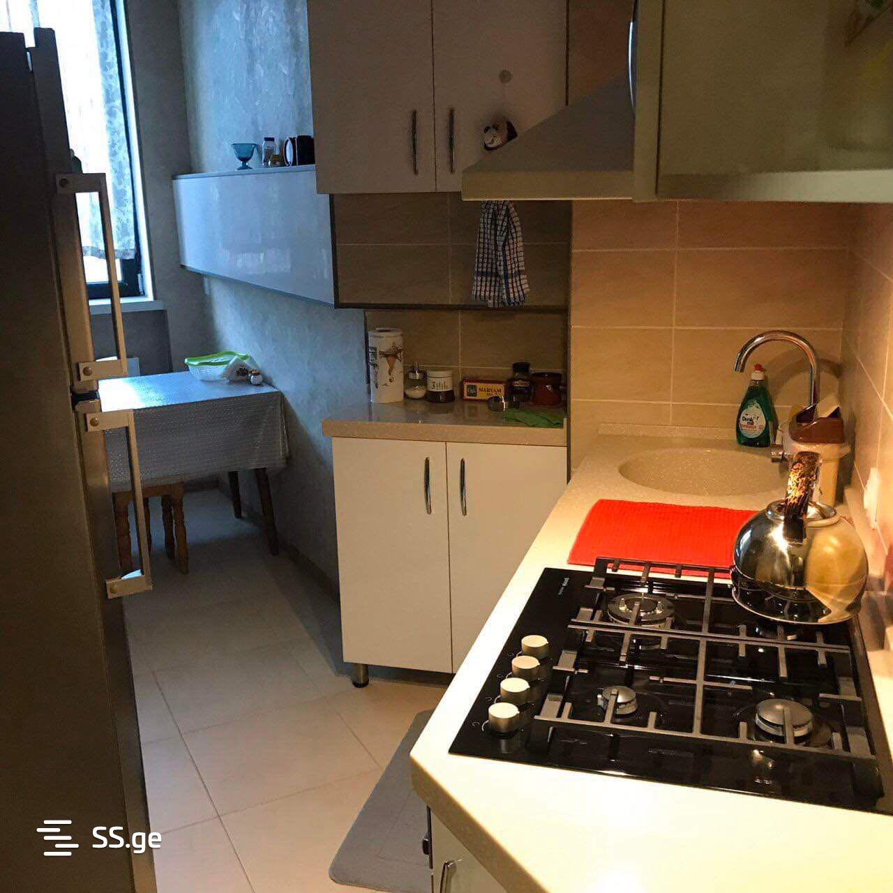 2 room Flat Daily rent. Isani - Ansicht 3