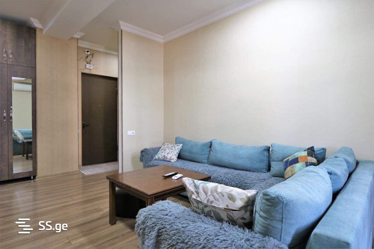 2 room Flat Daily rent. Isani - Ansicht 2