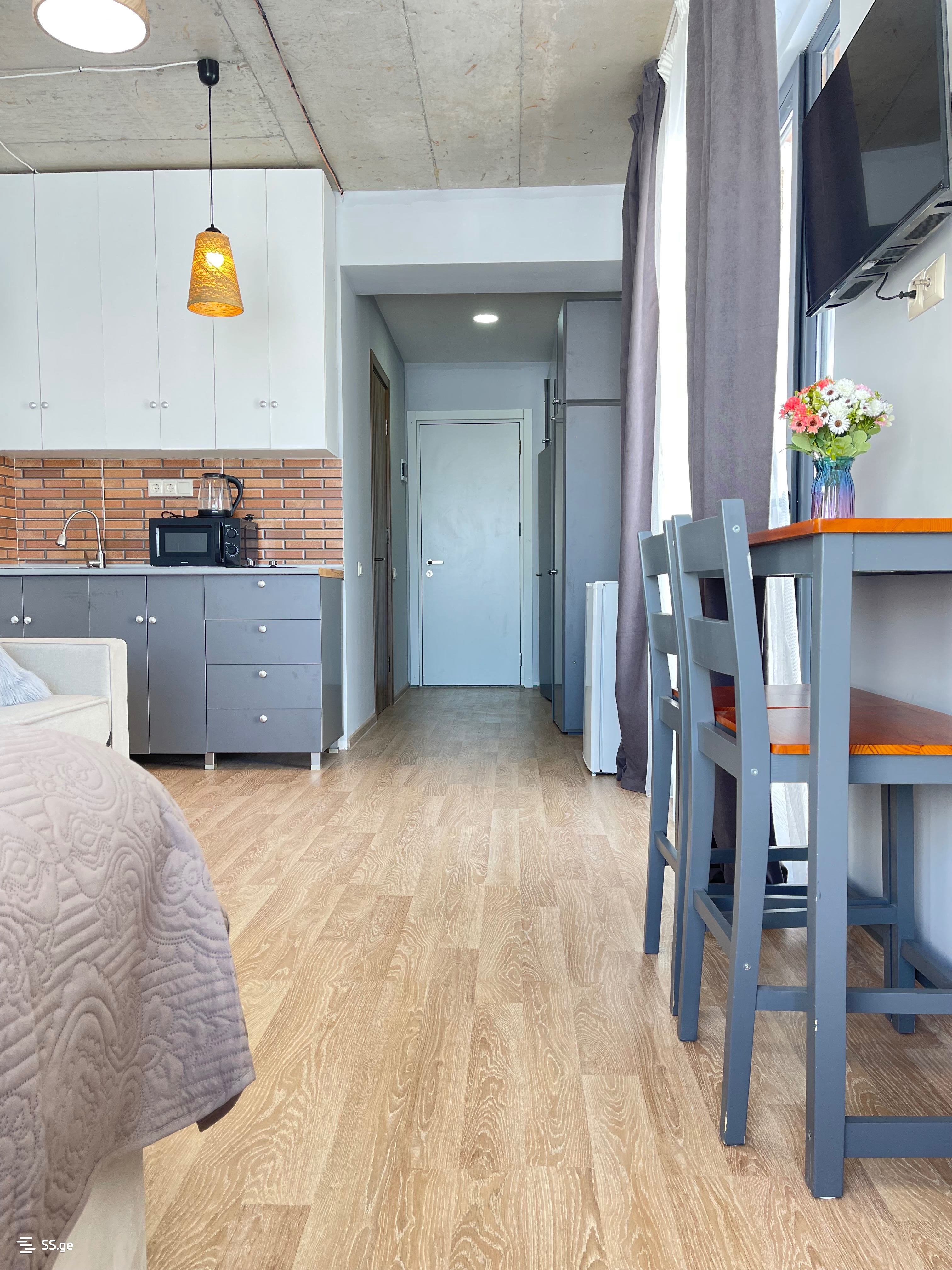 1 Room Flat Daily Rent. Gudauri view 12