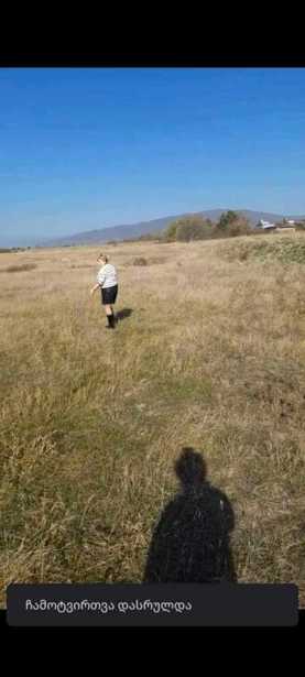 https://static.ss.ge/20250305/11_1feaeca3-5dc0-411e-869b-ef9a84ffd619_Thumb.jpg