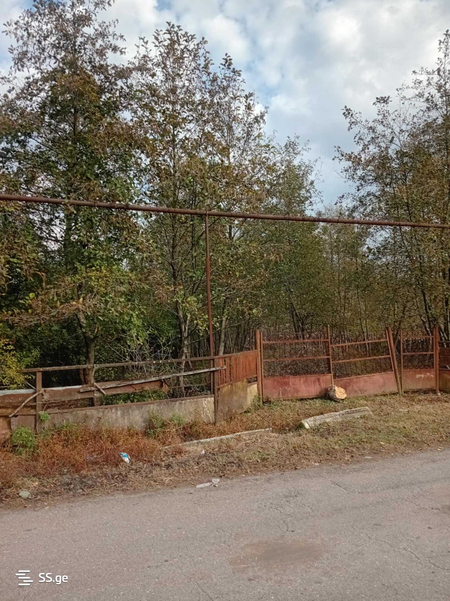 Land For Sale. Samtredia view 4