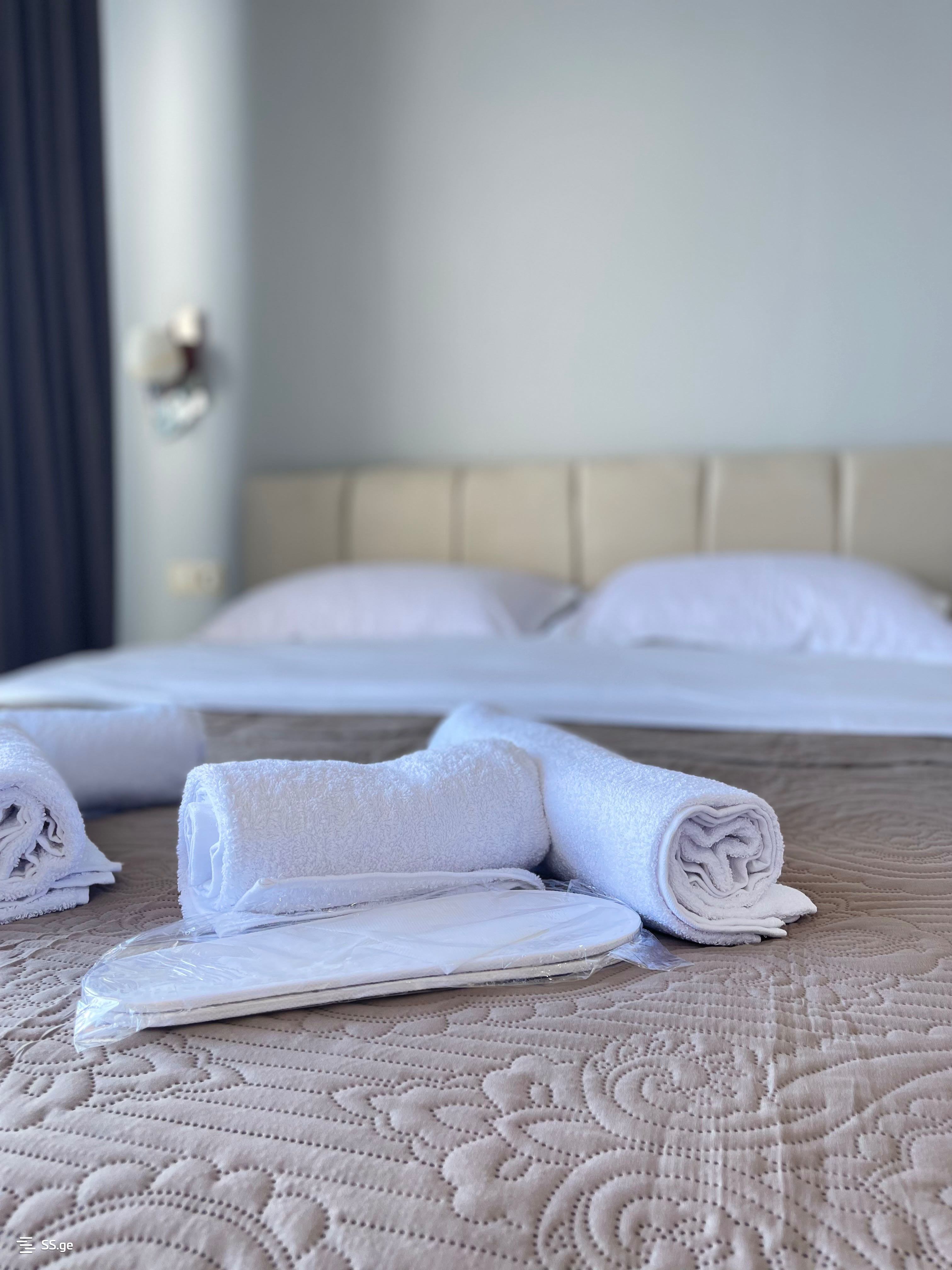 1 Room Flat Daily Rent. Gudauri, 2 of 4